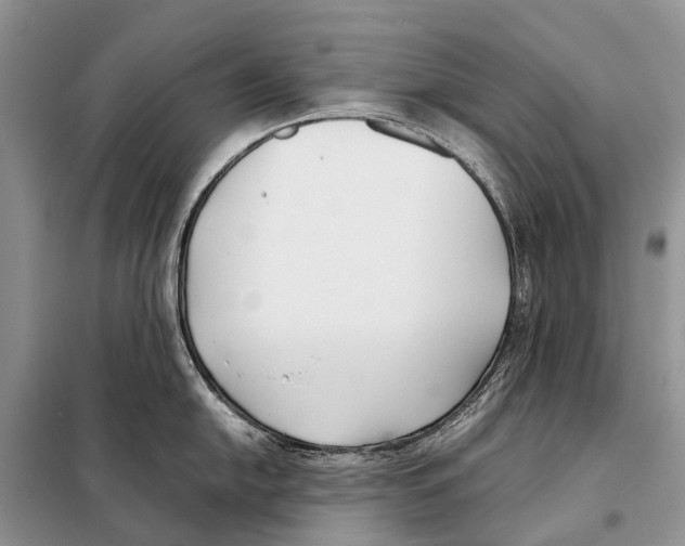 X0000098101054200805021105