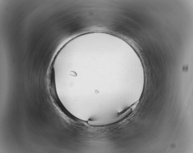 X0000098101056200805021105