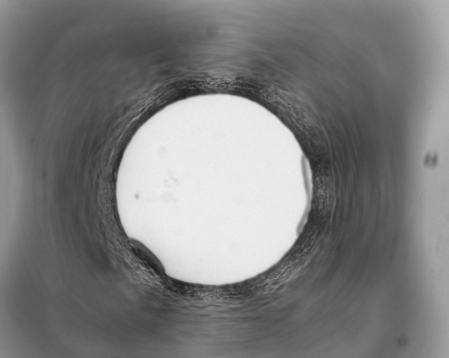 X0000098101057200805021104
