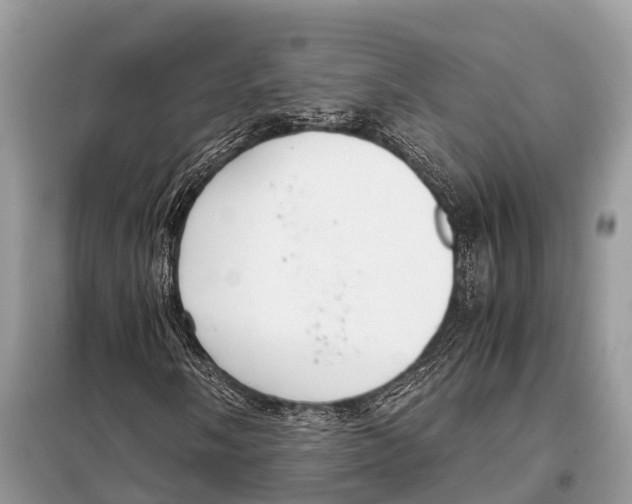 X0000098101058200805021104