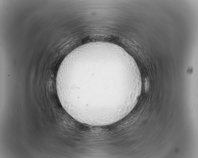 X0000098101059200805021104