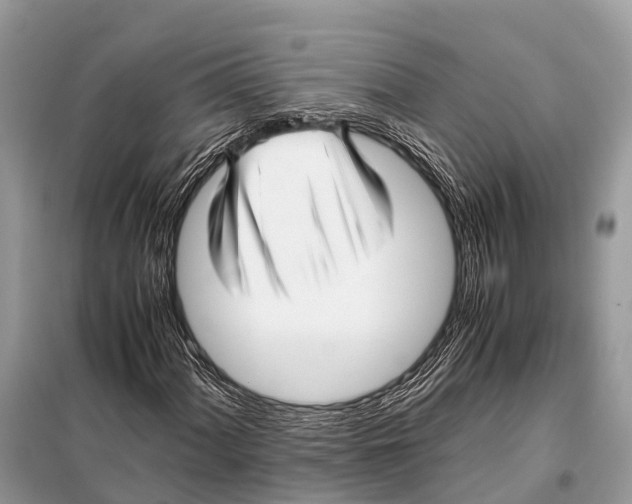 X0000098101060200805021104