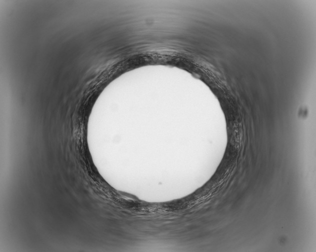 X0000098101061200805021104