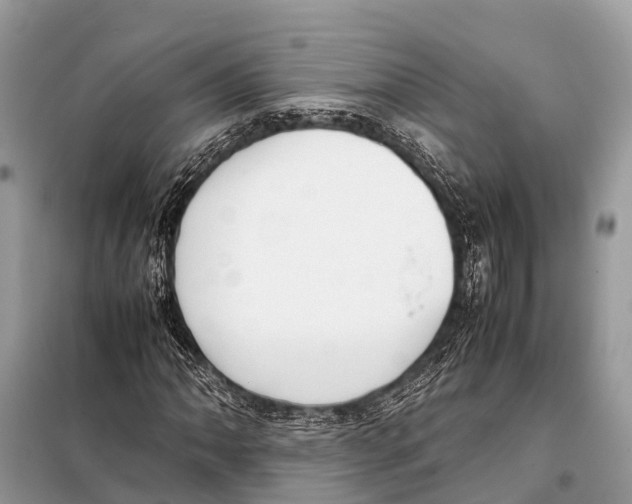 X0000098101062200805021104
