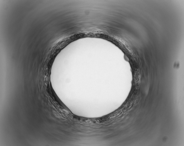 X0000098101063200805021104