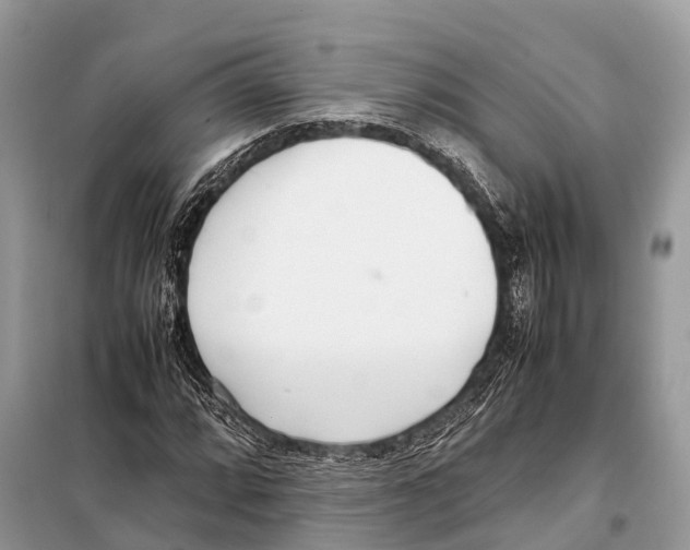 X0000098101064200805021104