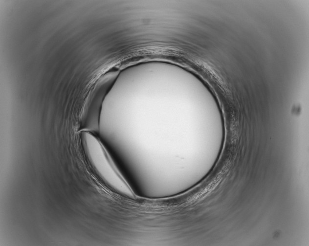 X0000098101065200805021104