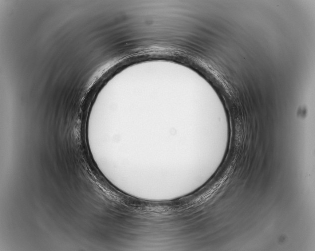 X0000098101066200805021104