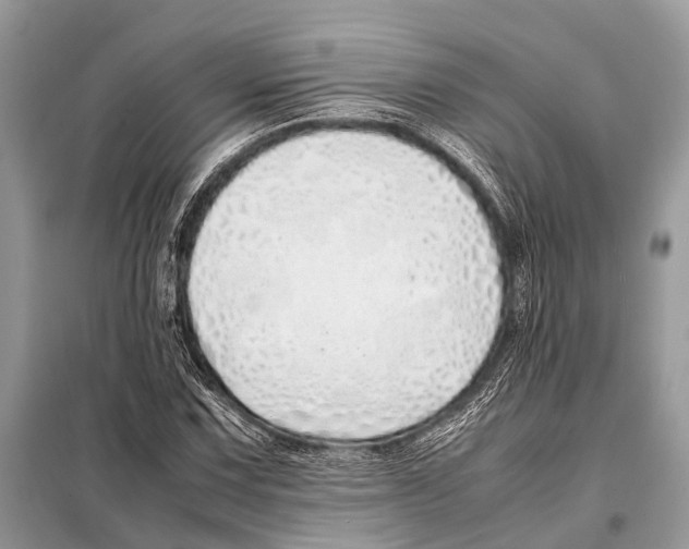 X0000098101067200805021104