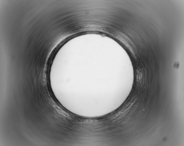 X0000098101068200805021104