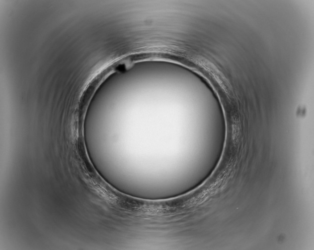 X0000098101069200805021104