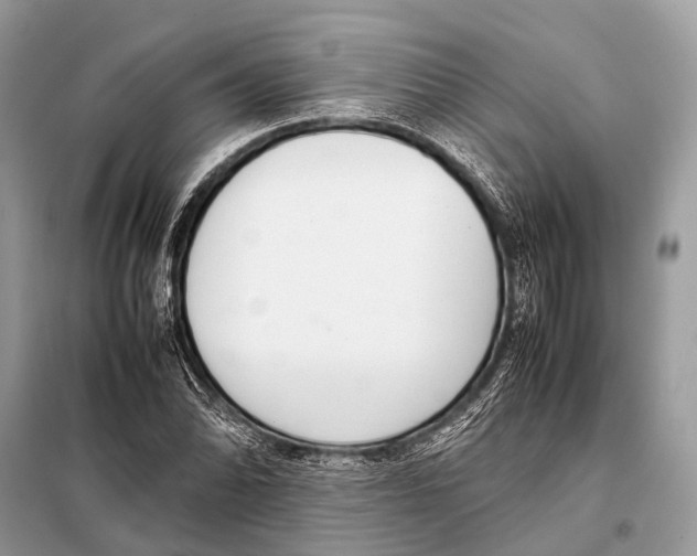 X0000098101070200805021104