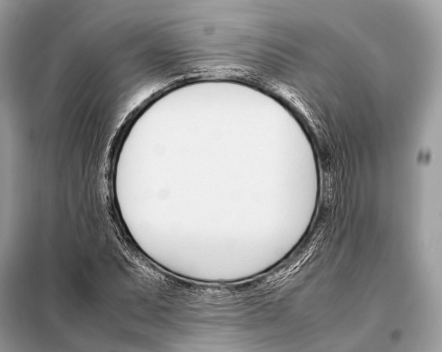 X0000098101071200805021104