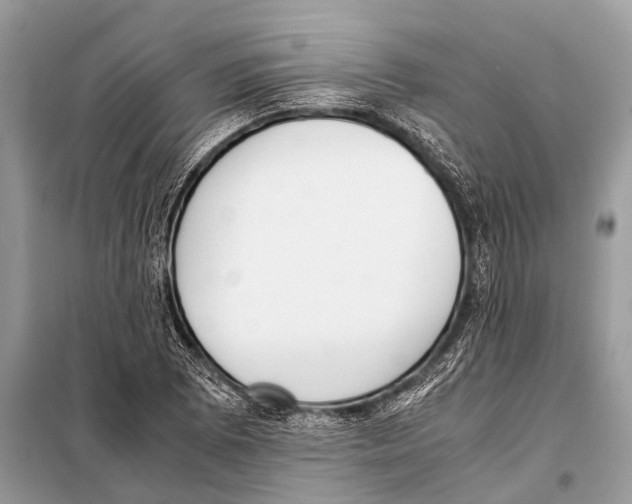 X0000098101073200805021104