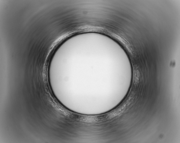 X0000098101074200805021104