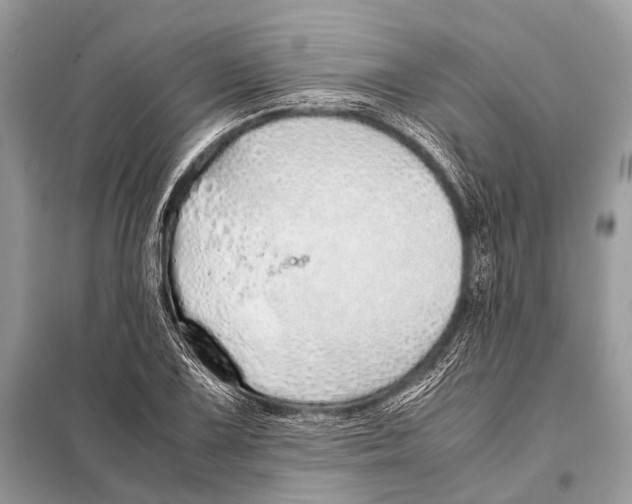 X0000098101075200805021104