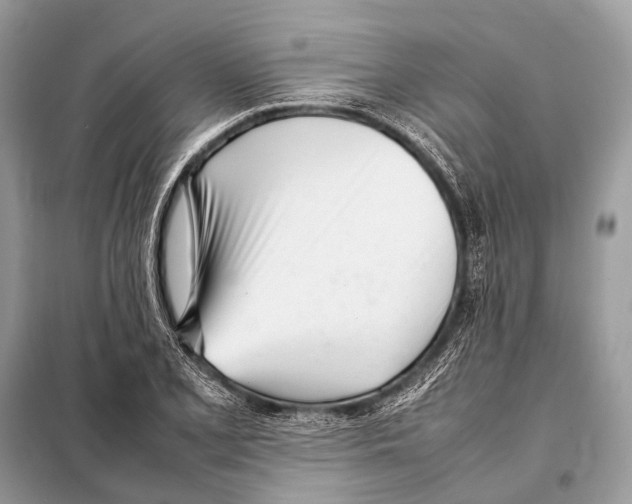 X0000098101077200805021104