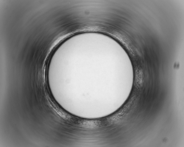X0000098101078200805021104