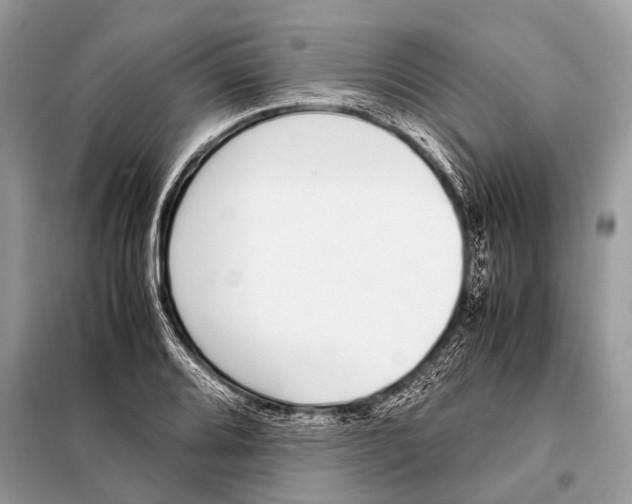 X0000098101080200805021104