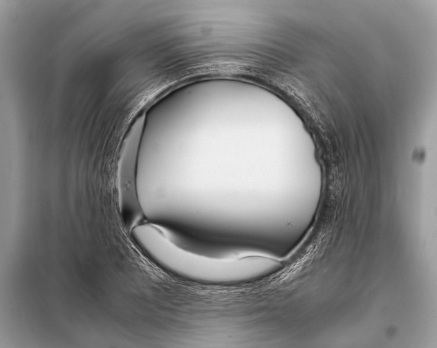 X0000098101081200805021104