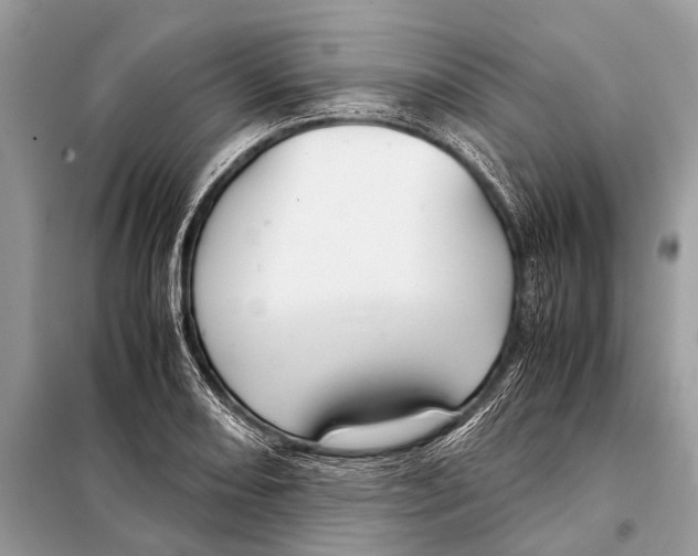 X0000098101082200805021104