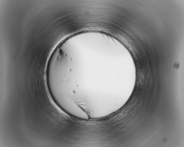 X0000098101084200805021104