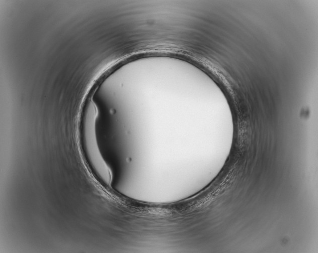 X0000098101085200805021104