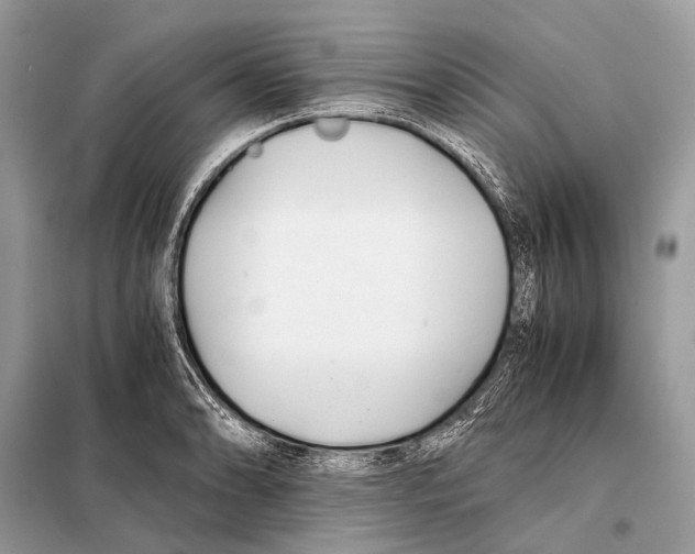 X0000098101086200805021104
