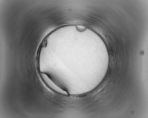 X0000098101087200805021104