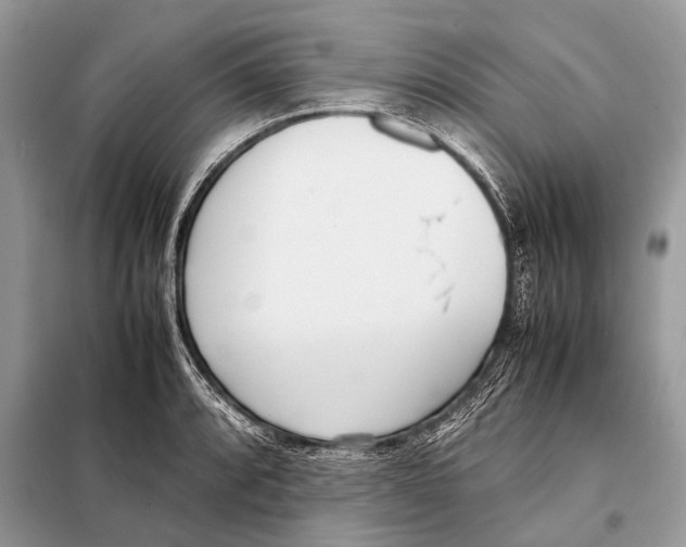 X0000098101088200805021104