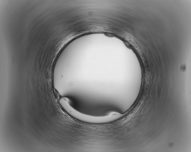X0000098101089200805021104
