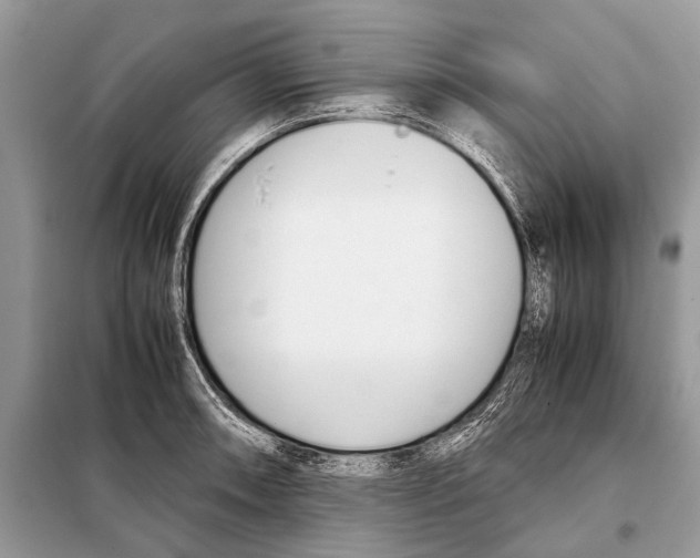 X0000098101090200805021104
