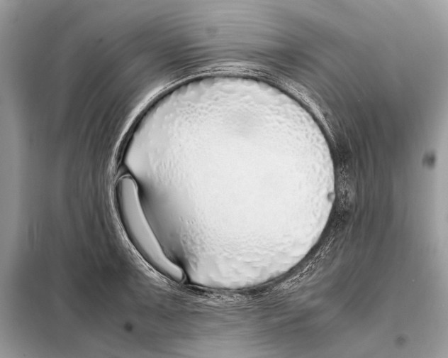 X0000098101091200805021104