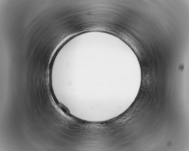 X0000098101092200805021104