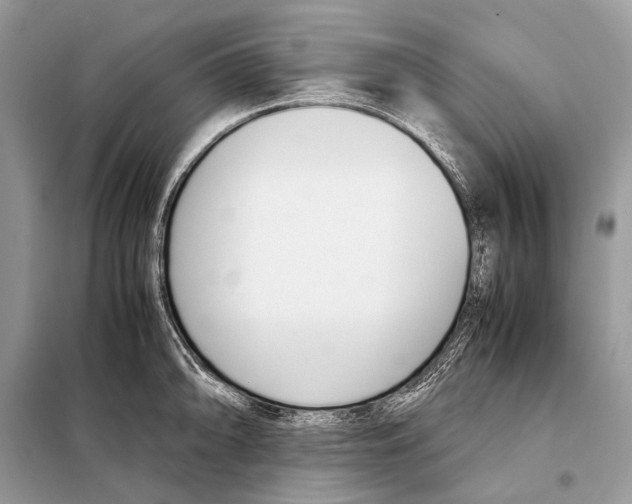 X0000098101094200805021104