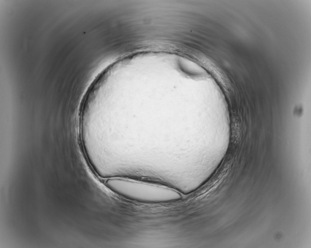 X0000098101095200805021104