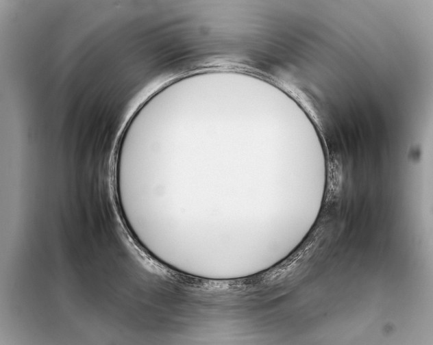 X0000098101098200805021104