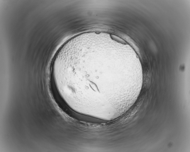 X0000098101099200805021104
