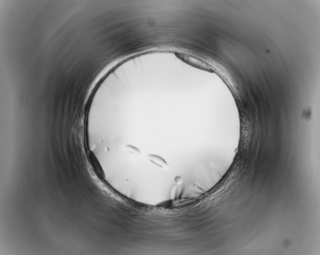 X0000098101100200805021104