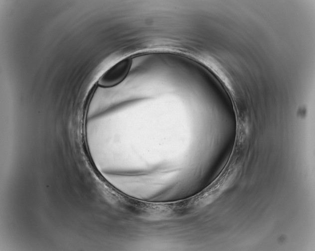 X0000098101101200805021104