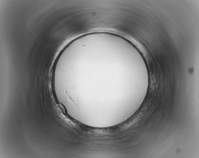 X0000098101102200805021104
