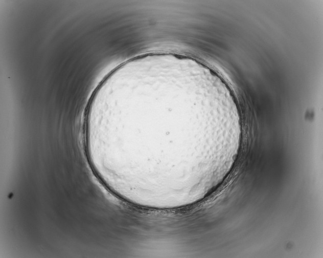 X0000098101103200805021104