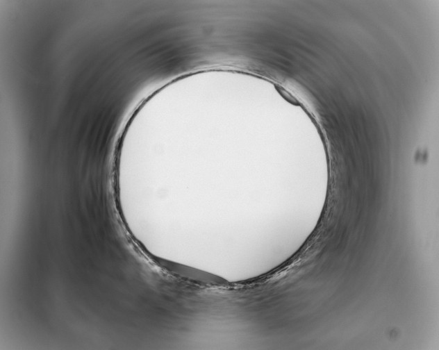X0000098101104200805021104