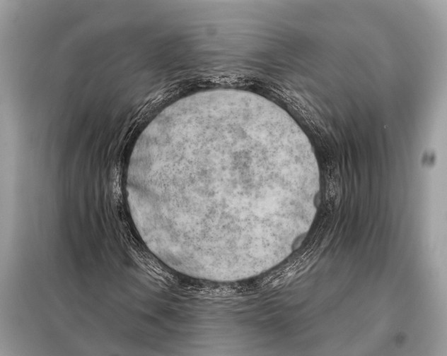 X0000098101106200805021103