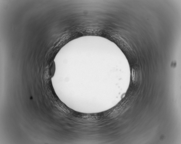 X0000098101107200805021103