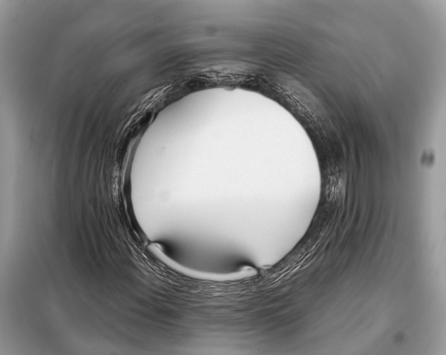 X0000098101108200805021103