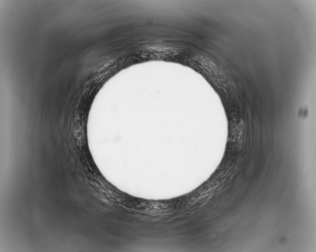 X0000098101109200805021103
