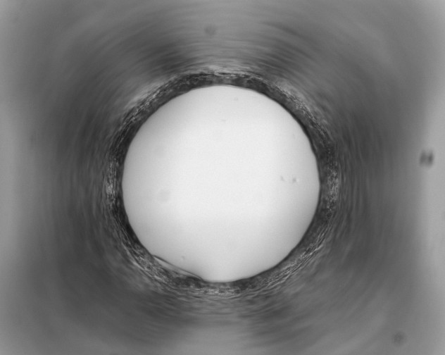 X0000098101110200805021103