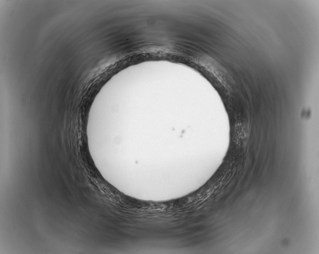 X0000098101111200805021103