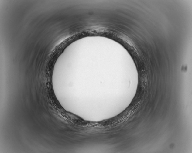 X0000098101112200805021103